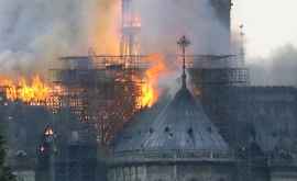 Пожар в соборе НотрДам сказался непоправимым образом на детях 