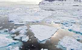 Particulele microplastice ajung în Arctica aduse de zăpadă