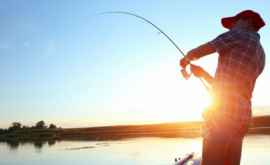 Битва рыбаков на Национальном чемпионате по рыбной ловле