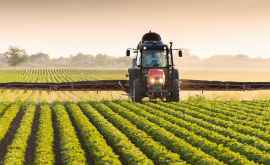 Producătorii agricoli pot cere subvenţii de la stat