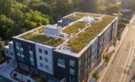 Почему во всех крупных городах мира на крышах необходимо выращивать сады