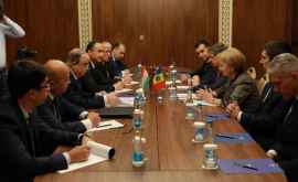 Greceanîi a avut o întrevedere cu oficiali ai Tadjikistanului