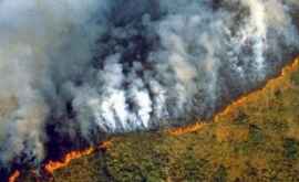 Ploile torenţiale din Bolivia au ajutat la stingerea incendiilor din pădurea amazoniană 