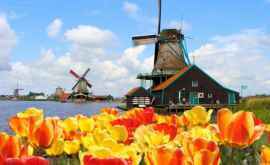 Olanda își schimbă numele