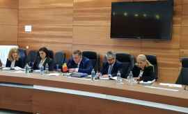 В МИДЕИ обсудили проблемы молдавской диаспоры в Румынии ФОТО