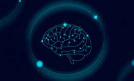 STUDIU Creierul poate schimba intensitatea durerii amplificîndo sau micșorîndo
