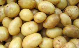 În luna octombrie cartofii sau scumpit cu aproximativ 20