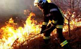 100 ha de miriște uscată mistuite de flăcări la Ungheni 