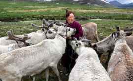 Topirea ghețurilor pune în pericol viața unei comunități de crescători de reni din Mongolia