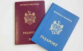 Moldstreet Сколько Шенгенских виз было выдано в Молдове после отмены визового режима