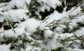 Meteo 3 decembrie Azi va ninge în toată țara