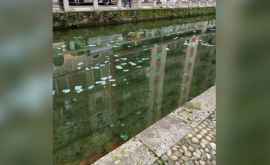 Mii de euro au fost aruncate pe un canal din Milano