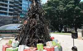 В Сиднее установили елку из сгоревших веток