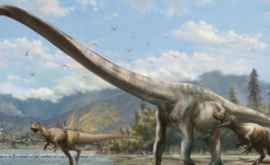 Появилась новая версия гибели динозавров