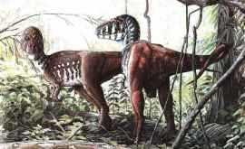 Нанотираны оказались не отдельным видом диназавров а детенышами тираннозавров