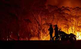 Incendiile din Australia Zeci de mii de oameni au fost evacuați