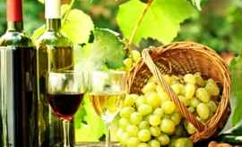 În 2019 Vinul Moldovei a înregistrat un record al exportului GRAFICE