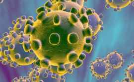 ВОЗ дала официальное название коронавирусу 