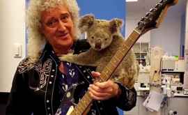 Chitaristul trupei Queen a cîntat cu un koala pe umăr