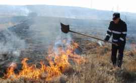 Un cîmp de vegetație uscată cuprins de flăcări la Căușeni