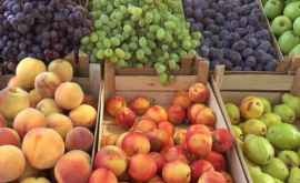 Молдова впервые заработала 200 млн на экспорте фруктов в Россию 