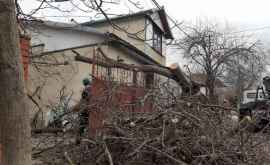 Ceban Autoritățile municipale intervin în forță pentru a înlătura consecințele furtunii