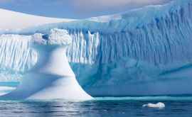 Antarctica plină de surprize după retragerea ghețarilor