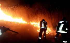 Alertă în țară Sute de hectare de vegetație mistuite de flăcări