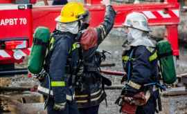 Intervenție neobișnuită Pompierii au salvat un cîine dintro țeavă