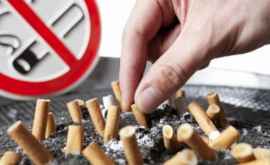 Guvernul a stopat unele prevederi din Legea tutunului