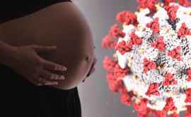 Насколько коронавирус опасен для беременных женщин