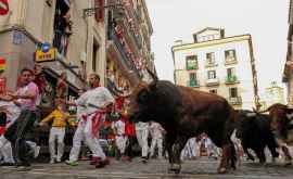 Cursele cu tauri din Pamplona anulate din cauza coronavirusului