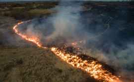 Лесные пожары в Сибири и на Дальнем Востоке привели к критической ситуации