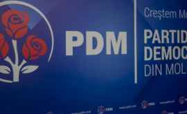 Лидеры ДПМ готовятся к серьезным дискуссиям с членами партии 