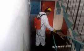 În subsolurile blocurilor din sectorul Ciocana au loc lucrări de dezinfecție Care sînt adresele