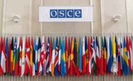 Chișinăul cere OSCE investigarea incidentelor din Zona de Securitate
