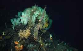 Исследование В глубинных слоях океана вода нагревается в 11 раз быстрее чем раньше