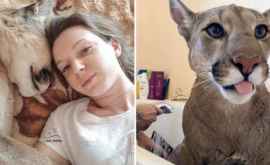 O familie din Penza a adăpostit în apartamentul său o puma