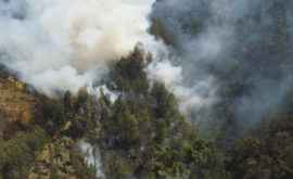 Indonezia a creat ploaie artificială pentru a preveni incendiile de vegetație