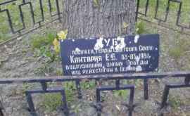 В Кишиневе откроют обновлённую памятную табличку о посадке дерева героем ВОВ 