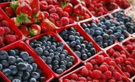В Молдове производители ягод возвращаются к онлайнторговле