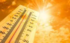 Temperaturile din Siberia au atins valori record în iunie