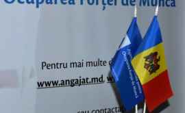 Объявлены наиболее высокооплачиваемые вакансии в Молдове