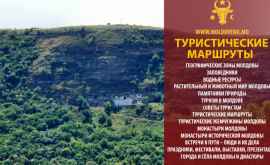 Откройте Молдову Богатый растительный мир страны