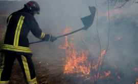 Pompierii au participat la lichidarea unui incendiu de vegetație uscată la Cahul
