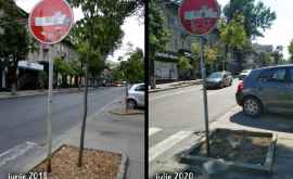 În centrul Chișinăului de dragul unei parcări au fost tăiați mai mulți copaci tineri FOTO