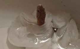 O femeie a găsit în baie un șarpe FOTO