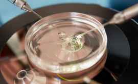 Cîte cupluri au cerut procedura de fertilizare in vitro din contul asigurării medicale