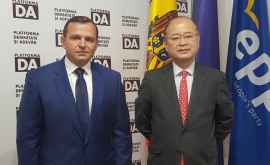 Năstase a avut o întrevedere cu Ambasadorul Japoniei în R Moldova