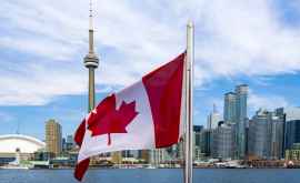 Canada a fost dată în judecată pentru 11 milioane de dolari
